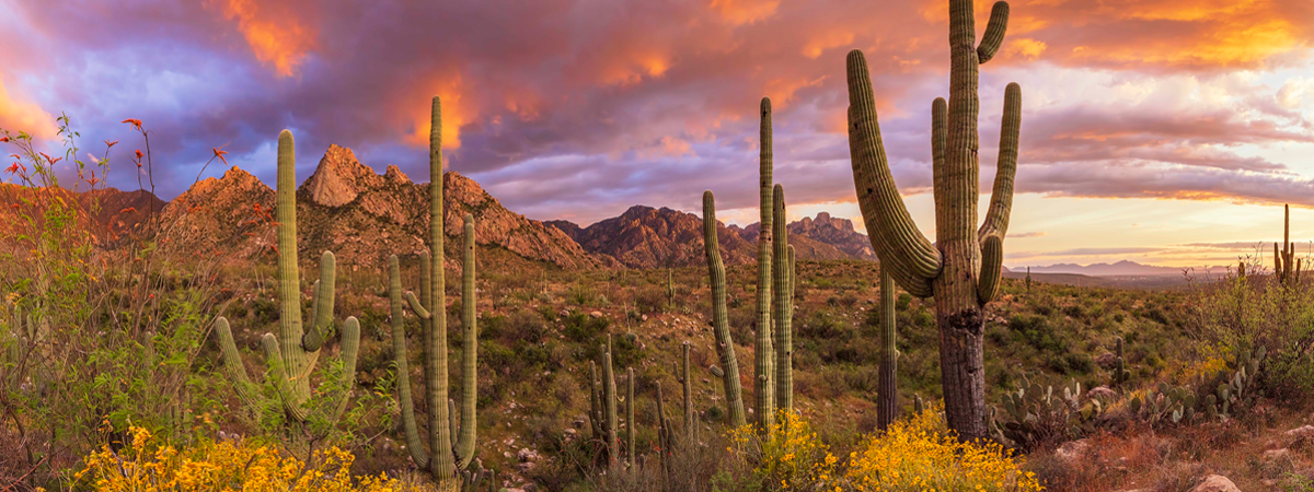 Arizona - Der Grand Canyon State