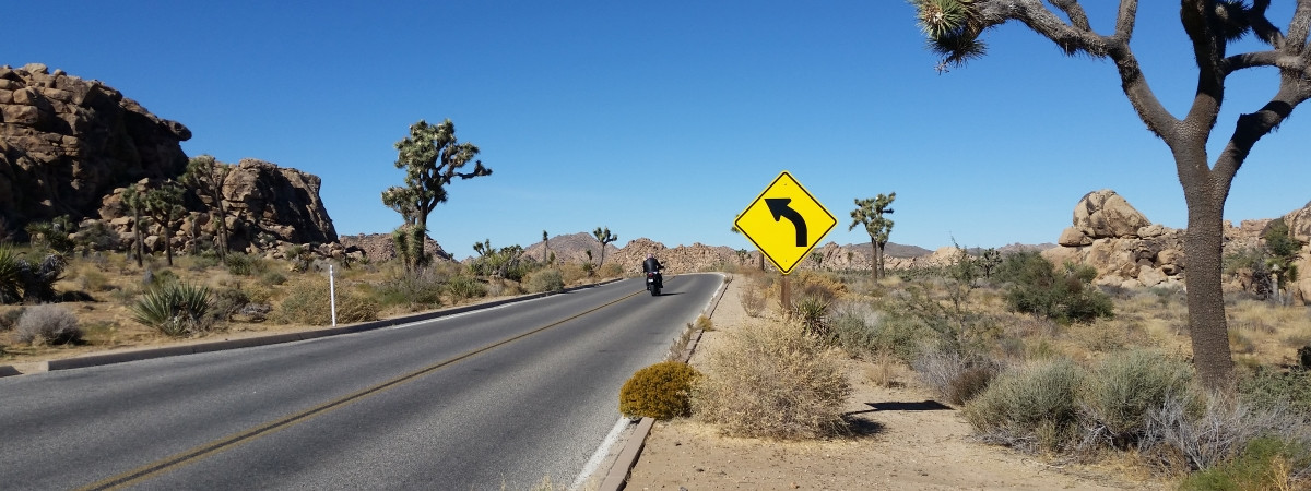 Joshua Tree National Park