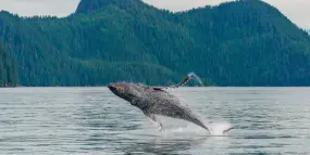 Hero Display Image   – provided by Windrose - Home of Luxury Travel