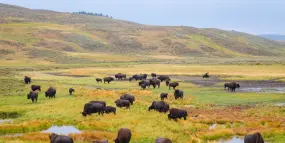 Hero Display Image   – provided by Windrose - Home of Luxury Travel