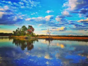 Wild Scenic Cumberland  | Wild Scenic Cumberland |   – provided by Visit South Jersey