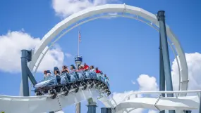 Penguin Trak SeaWorld Orlando  | Penguin Trak SeaWorld Orlando |   – provided by Visit Orlando