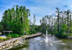 Hero Display Image   – provided by Florida's Sports Coast CVB