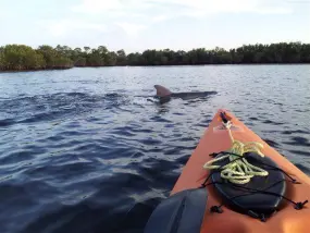 Hero Display Image   – provided by Florida's Sports Coast CVB