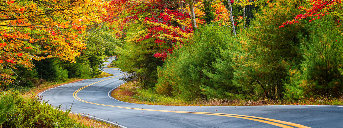 Die schönsten Roadtrips in den USA