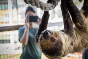 Hero Display Image   – provided by Gulf Shores & Orange Beach Tourism_(c)Colette Boehm 2019