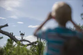 Hero Display Image   – Chris Granger