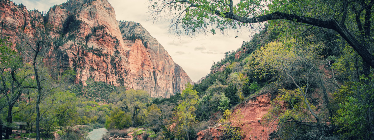 Zion Nationalpark