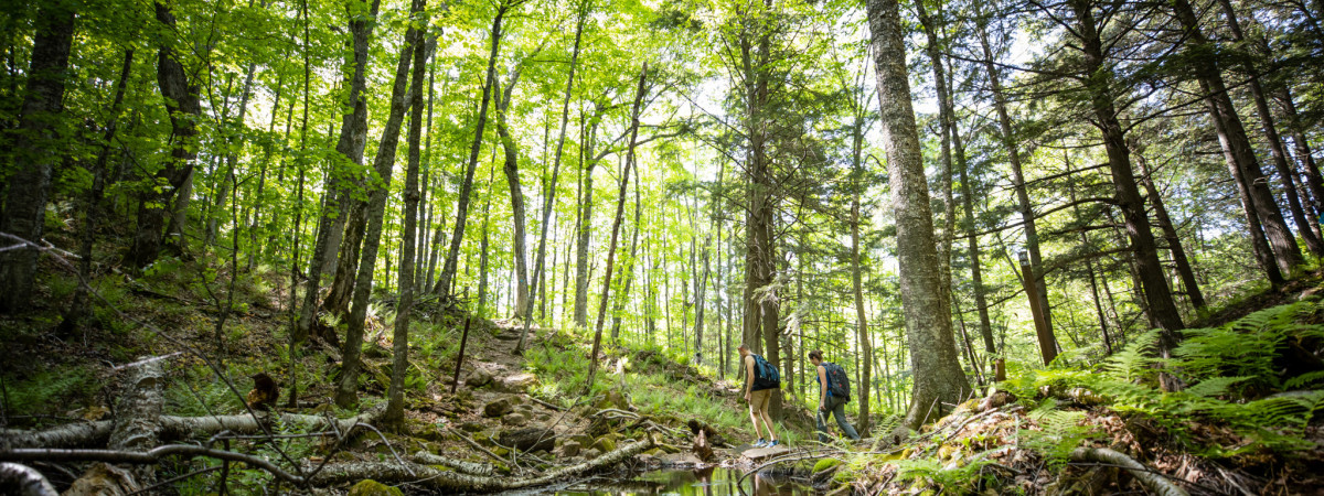 125 Jahre Wisconsin State Park System