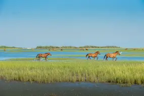 Hero Display Image   – provided by Visit North Carolina