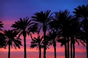 Hero Display Image   – provided by Hyatt Hotels & Resorts