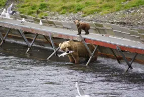 Hero Display Image   – provided by Kreuzfahrtmarkt.de