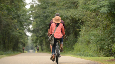 Longleaf Trace  | Longleaf Trace |   – Credit: Visit Hattiesburg