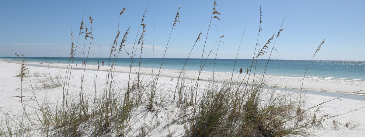 Ein Naturparadies am Panhandle