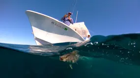 Hero Display Image   – provided by Panama City Beach