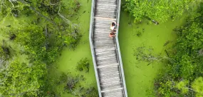 Hero Display Image   – provided by Panama City Beach
