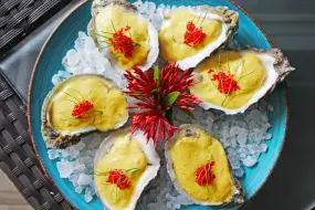 Hero Display Image   – provided by Visit Sarasota