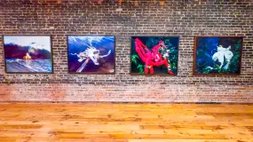 Hero Display Image   – provided by Visit Sarasota