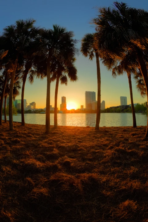 Hero Display Image   – provided by British Airways / Iberia