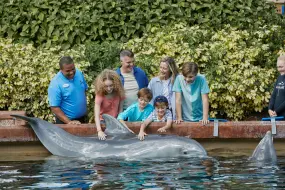 Hero Display Image   – © 2023 SeaWorld Parks & Entertainment, Inc. All Rights Reserved.