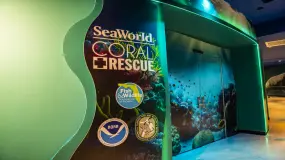 Hero Display Image   – © 2023 SeaWorld Parks & Entertainment, Inc. All Rights Reserved.