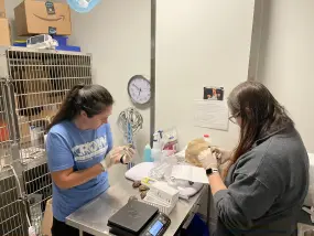 Hero Display Image   – © 2023 SeaWorld Parks & Entertainment, Inc. All Rights Reserved.