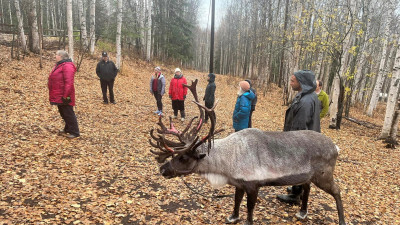 IVLP Treffen in Fairbanks, Alaska  – provided by Explore Fairbanks Alaska