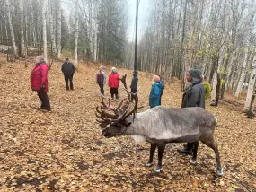 IVLP Treffen in Fairbanks, Alaska  | IVLP Treffen in Fairbanks, Alaska |   – provided by Explore Fairbanks Alaska