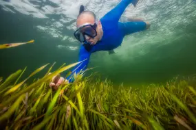 Hero Display Image   – provided by Discover Crystal River