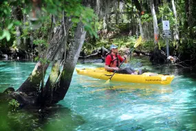 Hero Display Image   – provided by Discover Crystal River