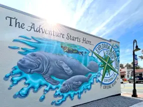 Hero Display Image   – provided by Discover Crystal River