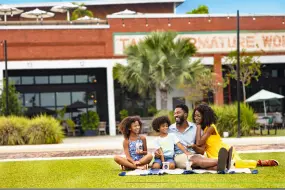 Hero Display Image   – provided by Visit Tampa Bay