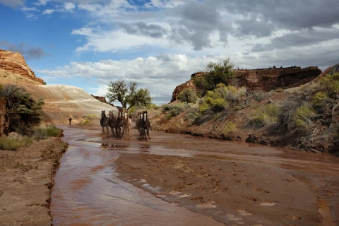 Canyon de Chelly National Monument, Arizona  | Canyon de Chelly National Monument, Arizona |   – provided by Brand USA