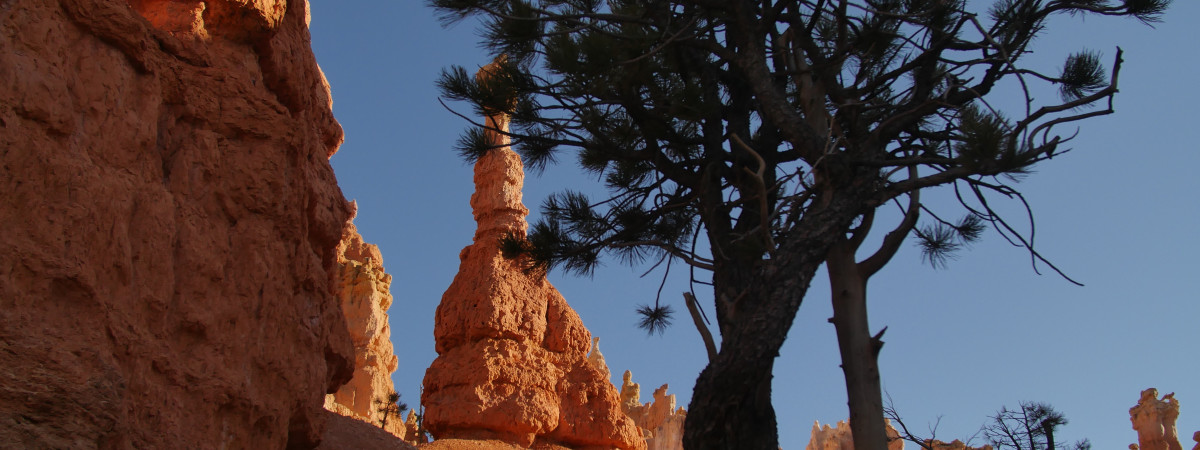 Bryce Canyon (UT)