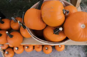 Hero Display Image   – provided by Brand USA