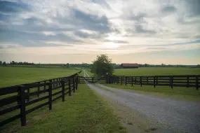 Hero Display Image   – provided by Brand USA