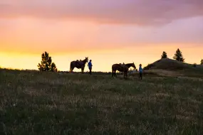 Hero Display Image   – provided by Brand USA