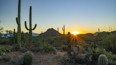 Saguaro National Park  – Visit Tucson