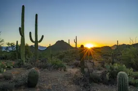 Saguaro National Park  | Saguaro National Park |   – Visit Tucson