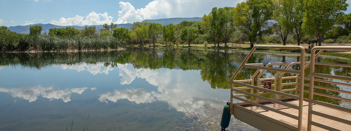 Cottonwood_Dead Horse Ranch State Park