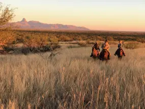 Rancho De La Osa, Arizona  | Rancho De La Osa, Arizona |   – provided by Arizona Office of Tourism