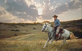 Hero Display Image   – provided by ARGUS Reisen