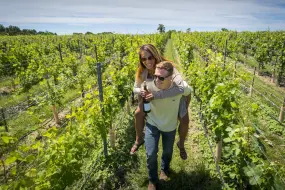 Weinberge in der Countryside of Philadelphia  | Weinberge in der Countryside of Philadelphia |   – provided by The Countryside of Philadelphia