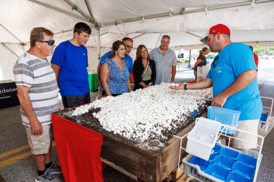 Mushroom Festival Kennett Square  – provided by The Countryside of Philadelphia