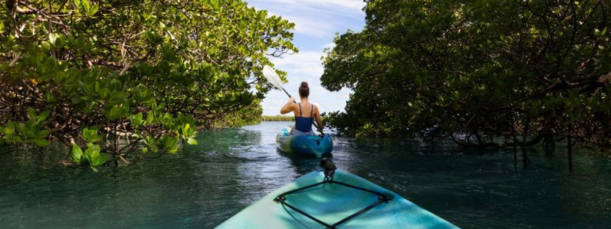 Floridas wilde Seite entdecken – Auf nach Chokoloskee