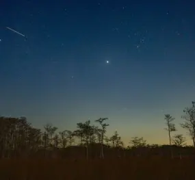 Hero Display Image   – provided by Naples, Marco Island, Everglades CVB