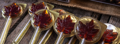 Hero Display Image   – © Darren McGee für NYSDED