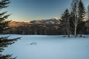 Hero Display Image   – provided by RoosterADK