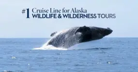 Hero Display Image   – provided by Holland America Line