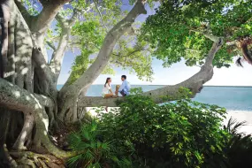 Natur in Florida  | Natur in Florida |   – provided by The Beaches of Fort Myers & Sanibel Banyan Baum Kayak